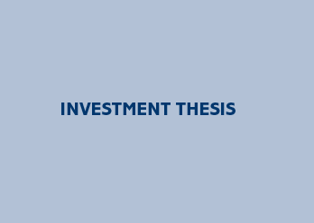 Investment Thesis